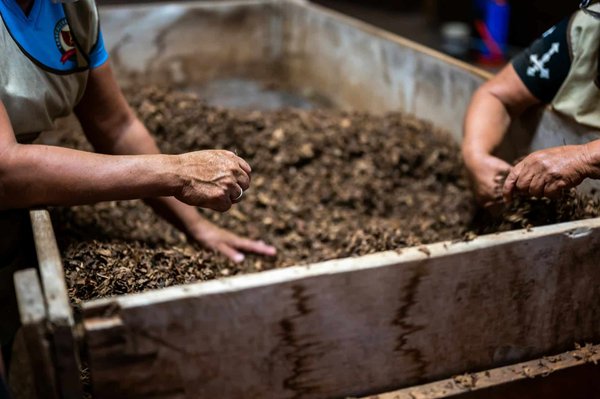 Silo à compost : fonctionnement et quels avantages ?