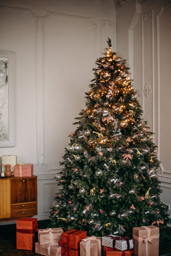 Inspirez vos célébrations avec des décorations lumineuses de noël